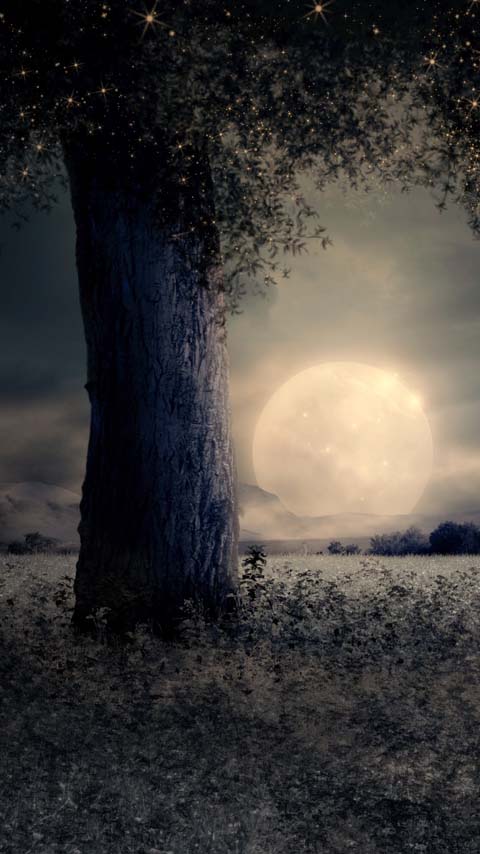 Free Phone Backgrounds Wallpapers-480x854 px FWVGA