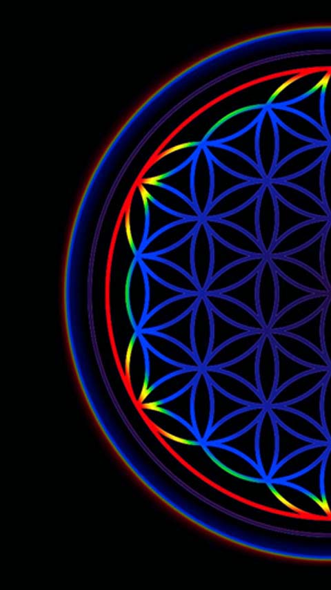 Free Phone Backgrounds Wallpapers-480x854 px FWVGA