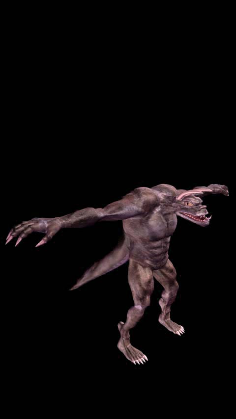 Free Phone Backgrounds Wallpapers-480x854 px FWVGA